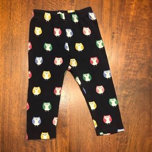 Gap Owl Leggings